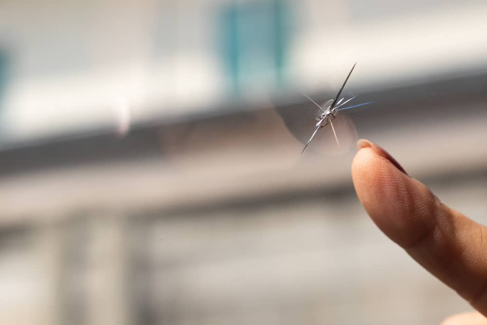 simple tips to protect your windshield from chips and cracks